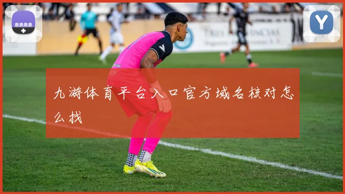 九游体育平台入口官方域名核对怎么找