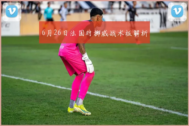 6月26日法国对挪威战术板解析