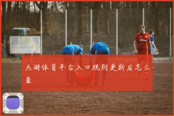 九游体育平台入口规则更新后怎么查