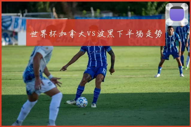 世界杯加拿大vs波黑下半场走势